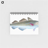 1-60_The-Natural-History-of-British-Fishes_memo