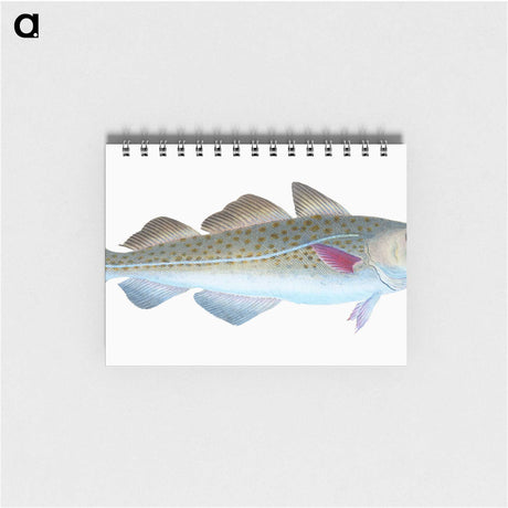 1-60_The-Natural-History-of-British-Fishes_memo
