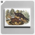 1-60_The-Viviparous-Quadrupeds_canvas