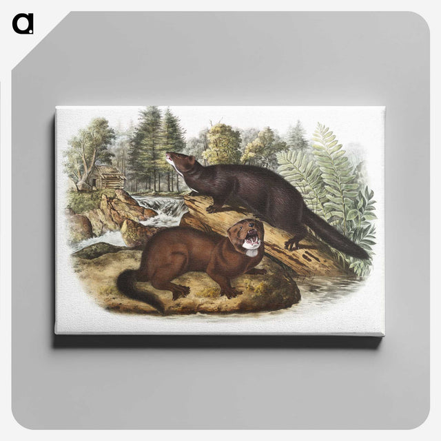 1-60_The-Viviparous-Quadrupeds_canvas