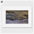 1-60_Thiel-Gallery_picture