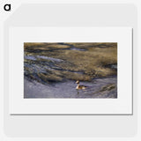1-60_Thiel-Gallery_picture
