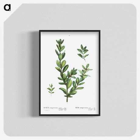 1-60_Treatise-on-Trees-and-Shrubs_blk-crop