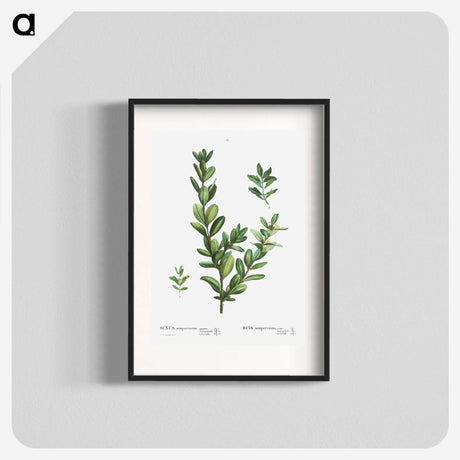 1-60_Treatise-on-Trees-and-Shrubs_blk