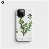 1-60_Treatise-on-Trees-and-Shrubs_phone