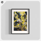 Blossoming Acacia Branches - フィンセント ファン ゴッホ Poster.