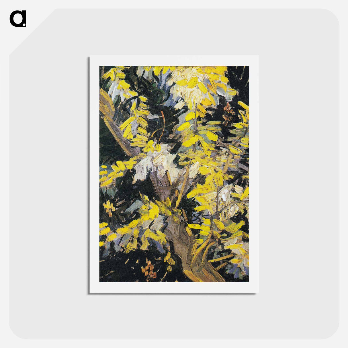 アートポストカード-Blossoming Acacia Branches - フィンセント ファン ゴッホ Postcard.