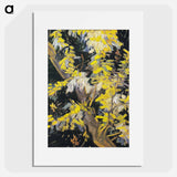 Blossoming Acacia Branches - Vincent van Gogh Poster.