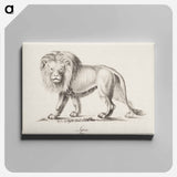 Lion - ヴィルヘルム フォン ライト Canvas.
