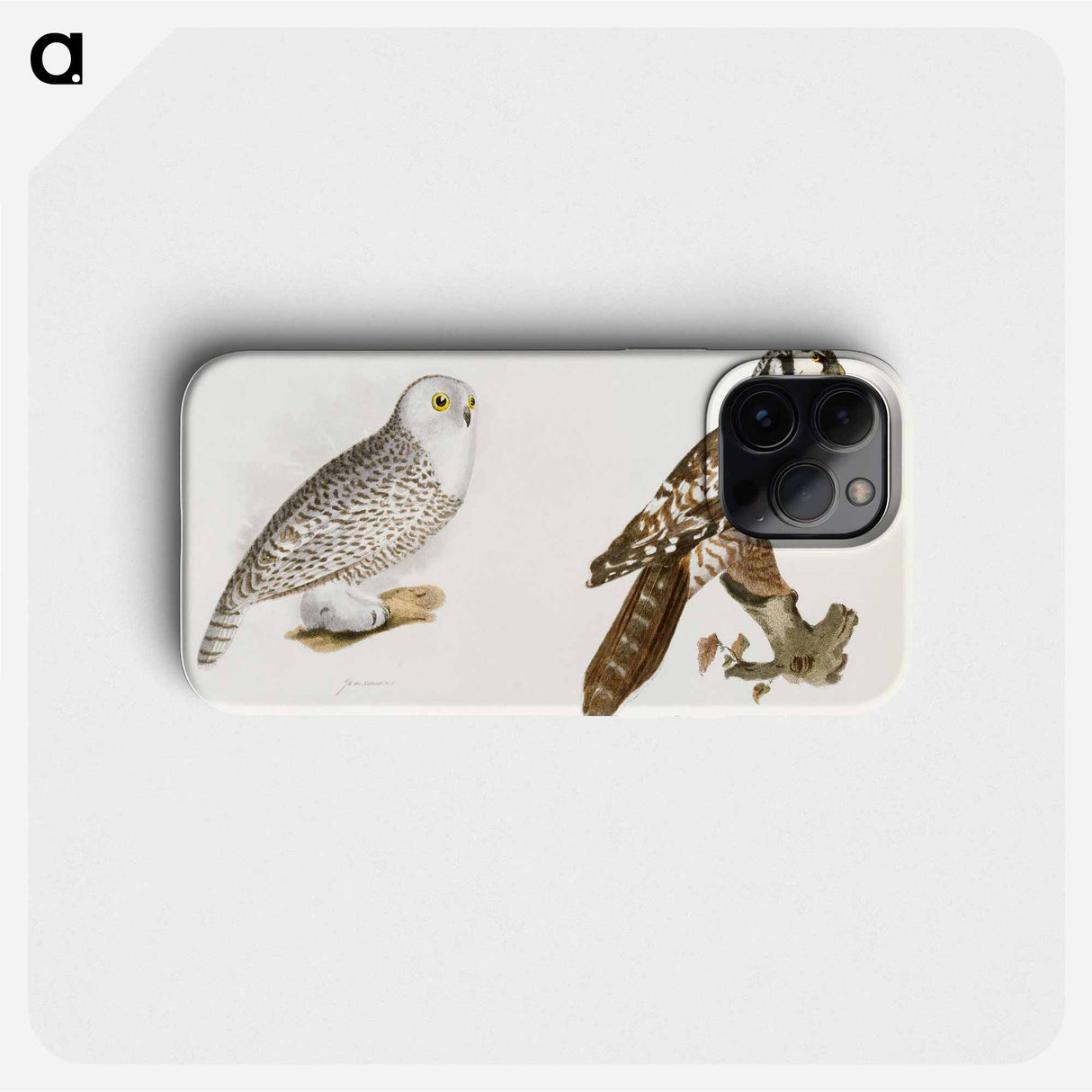 The Hawk Owl and The Snow Owl - ニューヨークの動物学 Phone Case.