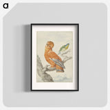 Two Exotic Birds - アールト シューマン Poster.