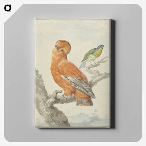 1-61_Aert-Schouman_canvas