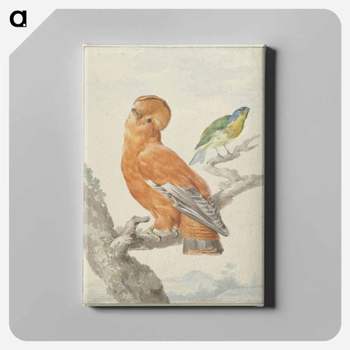 Two Exotic Birds - アールト シューマン Canvas.