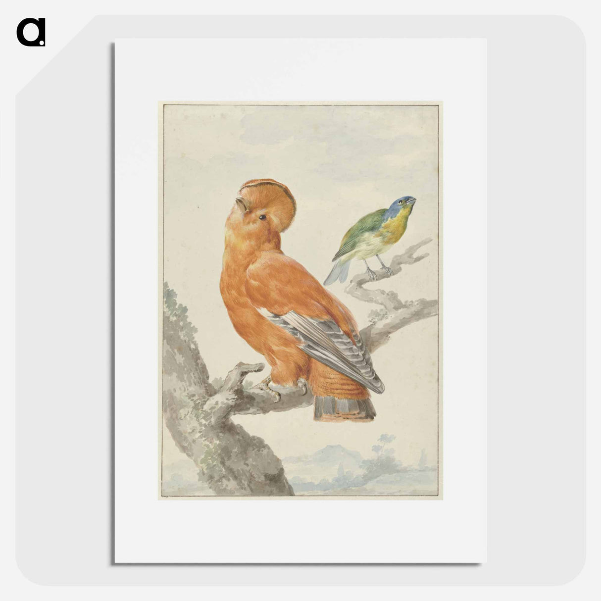 Two Exotic Birds - アールト シューマン Poster.