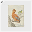 1-61_Aert-Schouman_postcard
