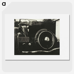 1-61_Alfred-Stieglitz_picture