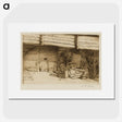 1-61_Alfred-William-Finch_picture