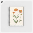1-61_Anselmus-Boetius-de-Boodt_memo