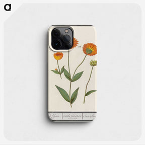 1-61_Anselmus-Boetius-de-Boodt_phone