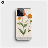 Marigold, Calendula - アンセルムス ボエティウス デ ブート Phone Case.