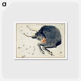 アートポストカード-Astronomical chart of the Taurus - アンティーク地図 Postcard.