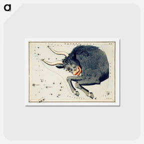 アートポストカード-Astronomical chart of the Taurus - アンティーク地図 Postcard.