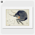 1-61_Antique-Maps_picture
