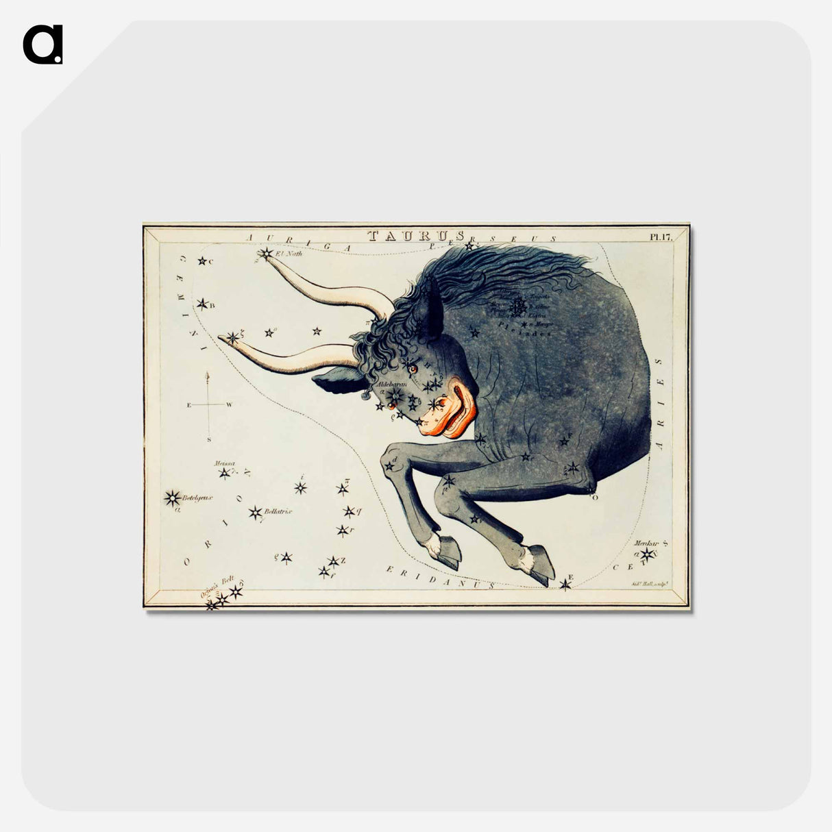 アートポストカード-Astronomical chart of the Taurus - アンティーク地図 Postcard.