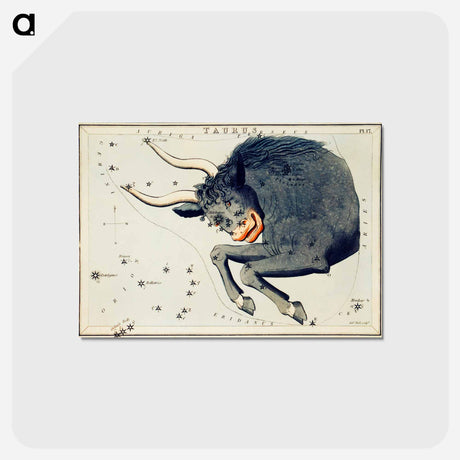 アートポストカード-Astronomical chart of the Taurus - アンティーク地図 Postcard.