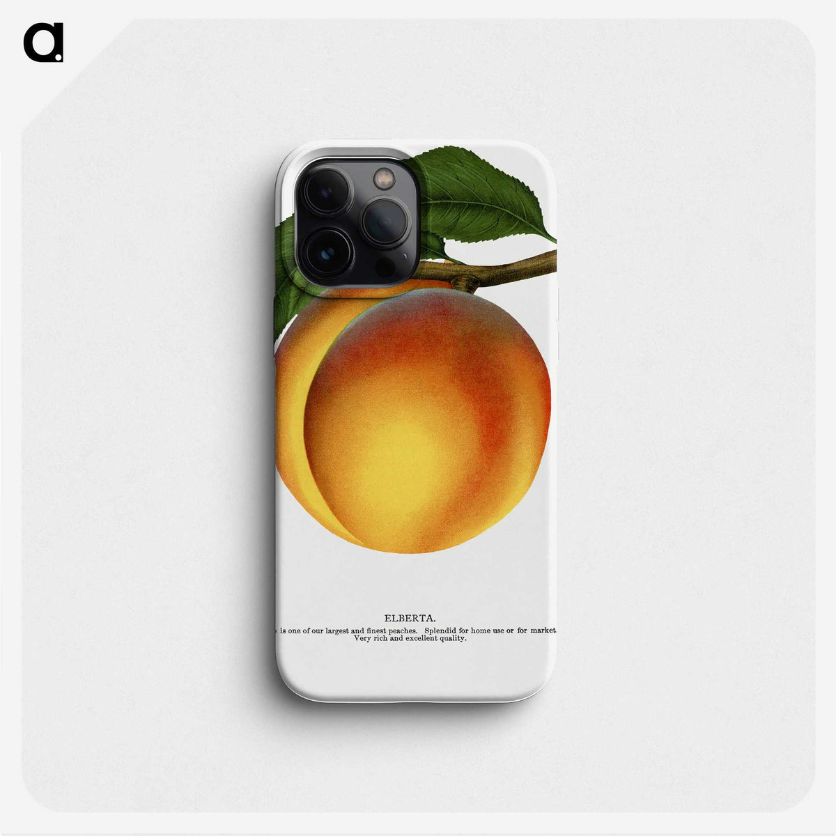 1-61_Botanical-Specimen-Plates_phone