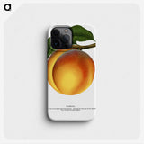 1-61_Botanical-Specimen-Plates_phone