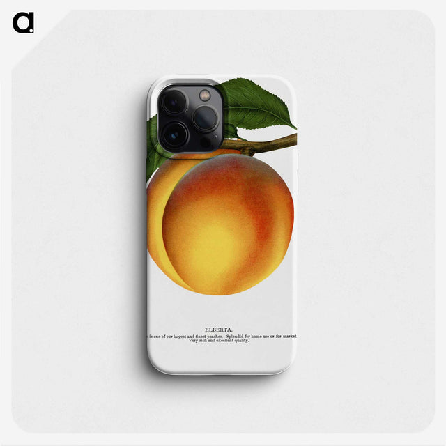 1-61_Botanical-Specimen-Plates_phone