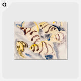 アートポストカード-Fish Series, No. 3 - チャールズ デムス Postcard.