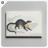 1-61_Charles-Hamilton-Smith_canvas