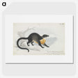 1-61_Charles-Hamilton-Smith_picture