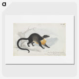 1-61_Charles-Hamilton-Smith_picture