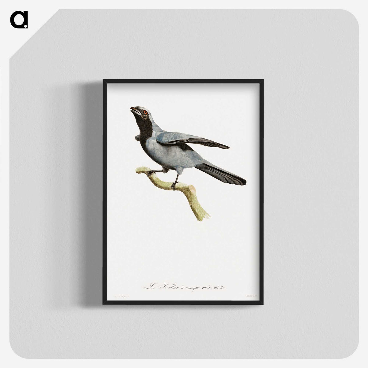 1-61_Des-Oiseaux-de-Paradis_blk-crop
