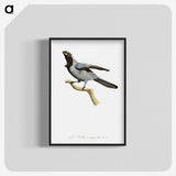 1-61_Des-Oiseaux-de-Paradis_blk-crop