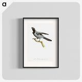 1-61_Des-Oiseaux-de-Paradis_blk