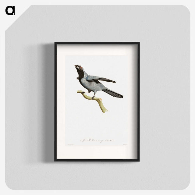 1-61_Des-Oiseaux-de-Paradis_blk