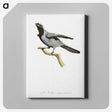 1-61_Des-Oiseaux-de-Paradis_canvas