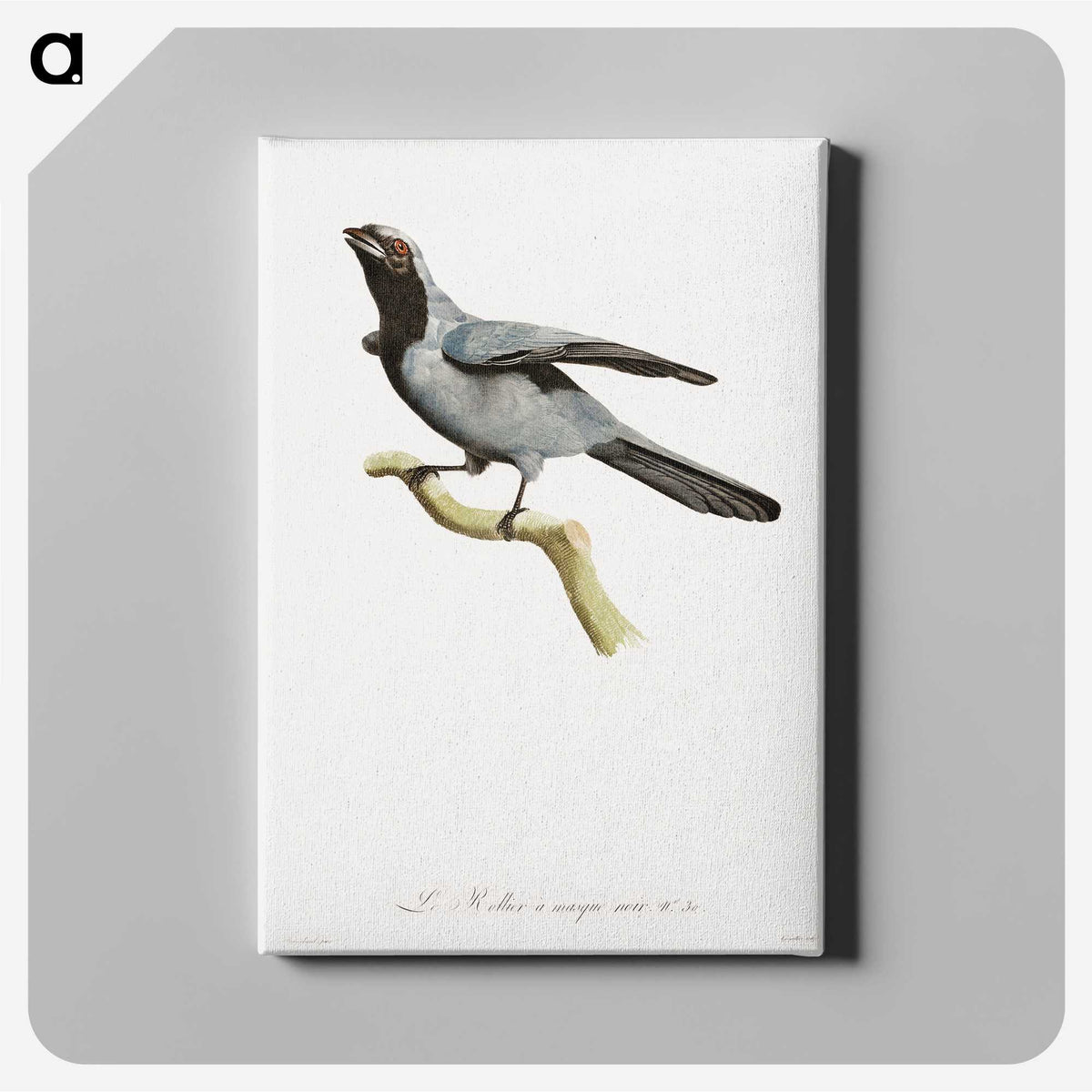 1-61_Des-Oiseaux-de-Paradis_canvas