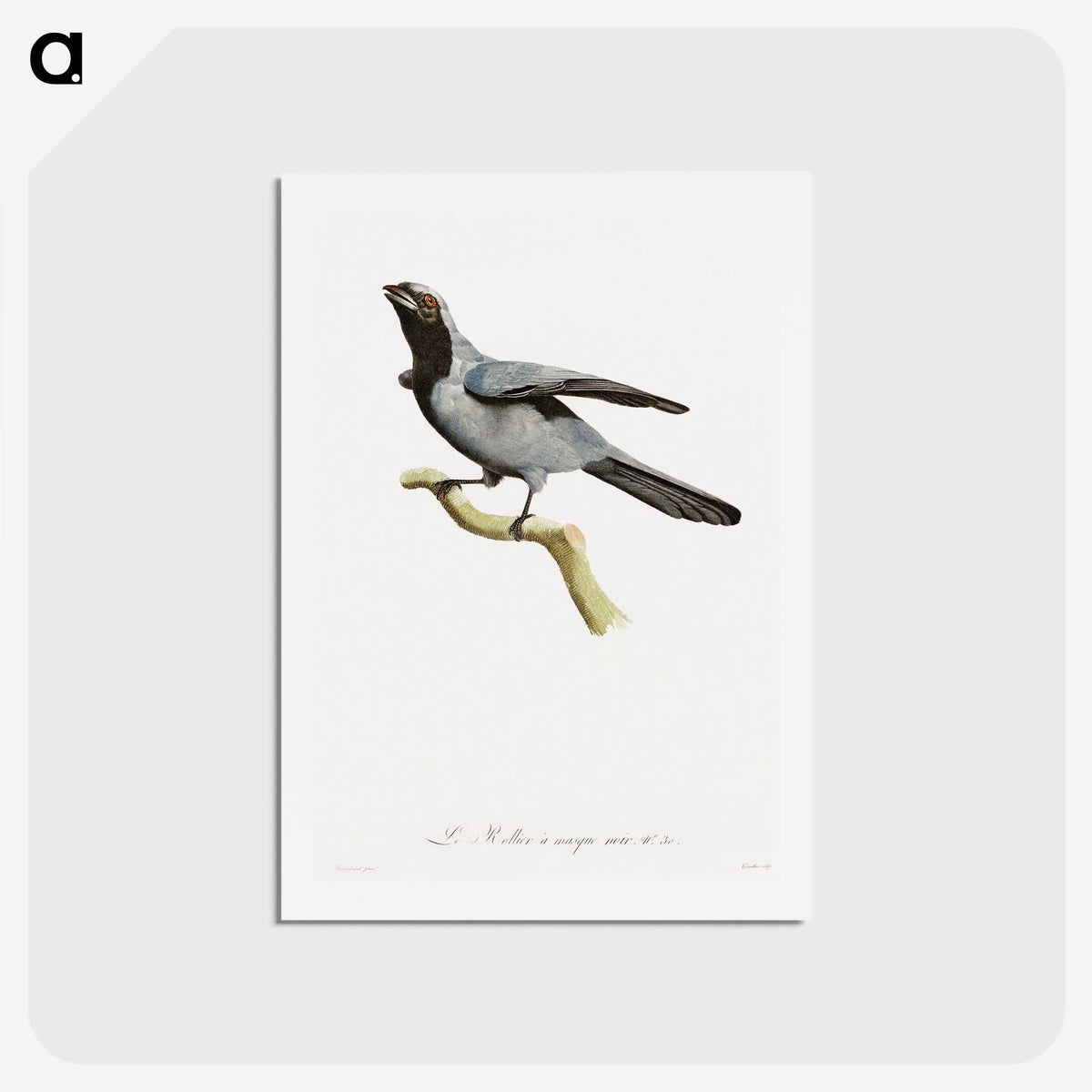 1-61_Des-Oiseaux-de-Paradis_hagaki