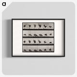 1-61_Eadweard-Muybridge_blk