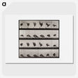 1-61_Eadweard-Muybridge_picture