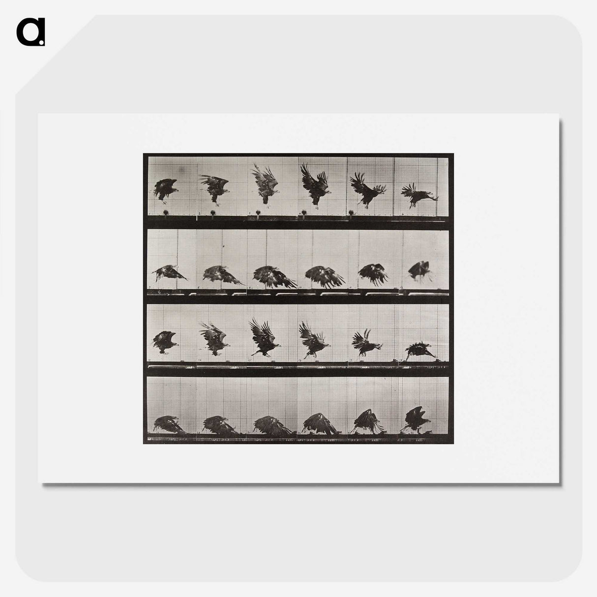 1-61_Eadweard-Muybridge_picture