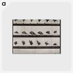 1-61_Eadweard-Muybridge_postcard