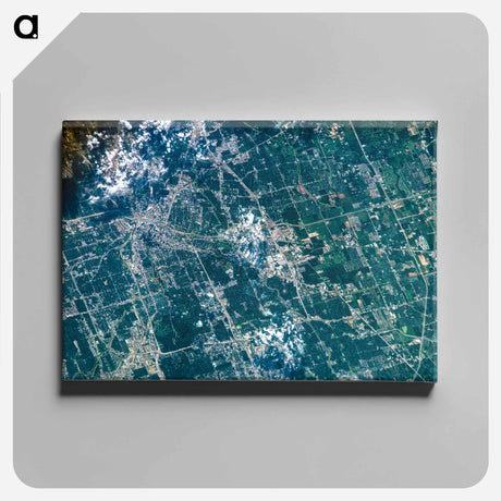 アートパネル-Houston from Earth Orbit
 - 上空からの地球 Canvas.