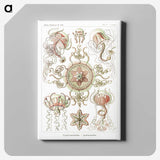 1-61_Ernst-Haeckel_canvas