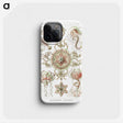 1-61_Ernst-Haeckel_phone